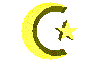 moon.gif (17724 bytes)